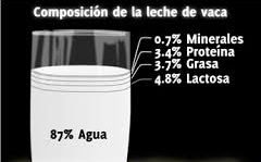 Leche2 ¿Leche o bebidas vegetales?