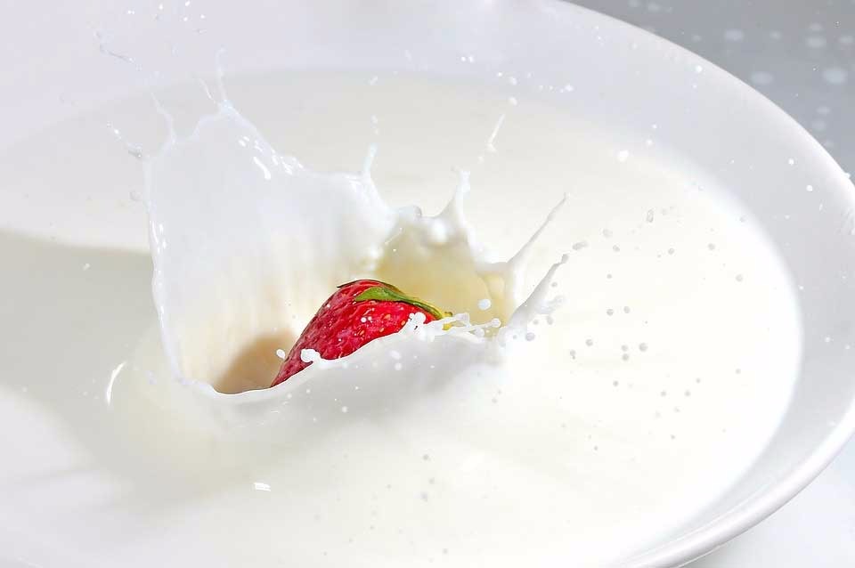 10-razones-para-evitar-la-leche 10 razones para evitar la leche y los lácteos