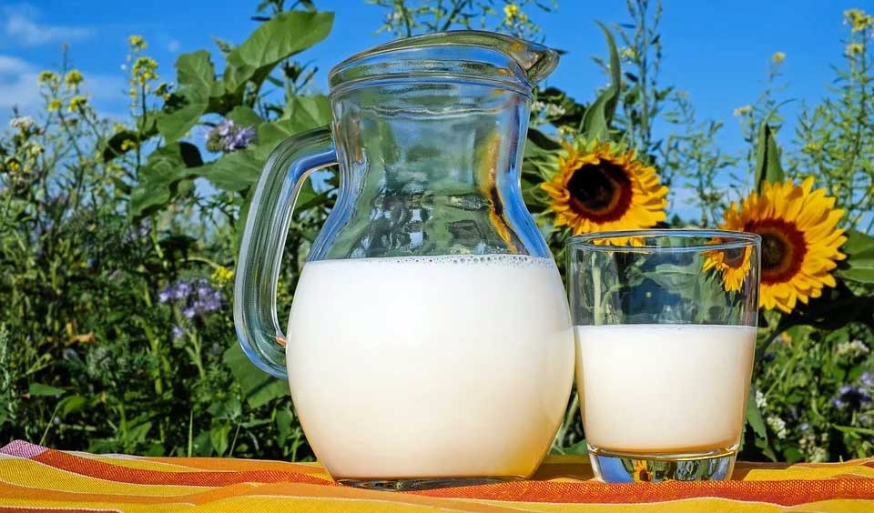 razones-para-evitar-la-leche 10 razones para evitar la leche y los lácteos