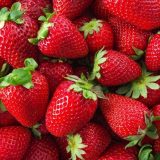 A todos nos gustan las fresas ¿no?