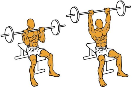 press-miltar-ganar-fuerza-muscular Ejercicios para ganar masa muscular