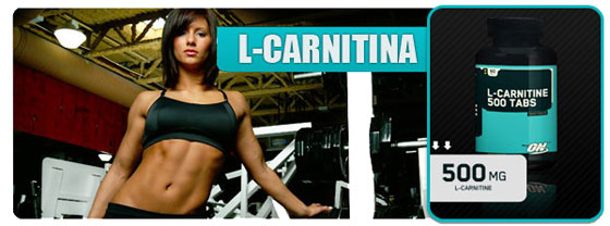 OPTIMUM NUTRITION L-CARNITNE 500MG