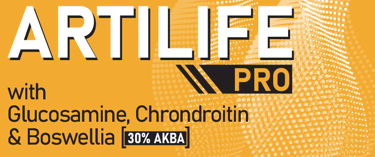 Artilife Pro Glucosamine 90 Végancaps