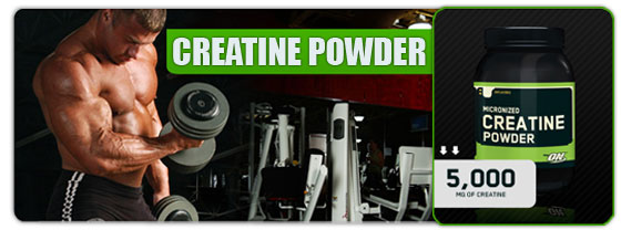 micronized creatine powder