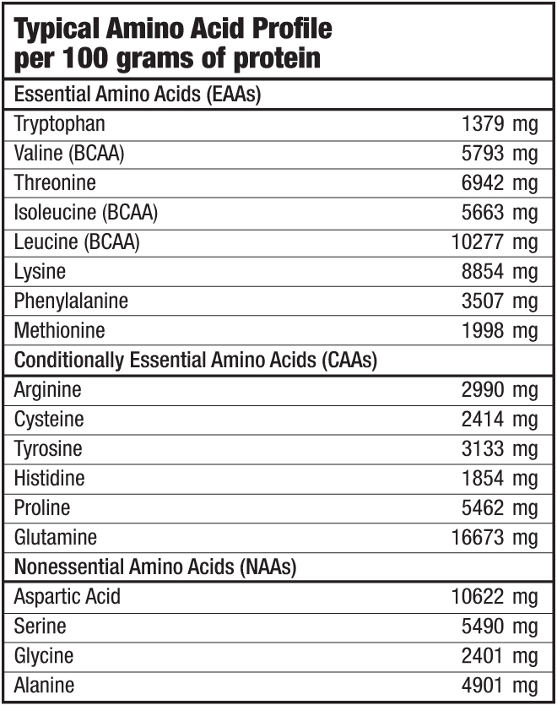 biotech hyper mass 5000 aminoacidos