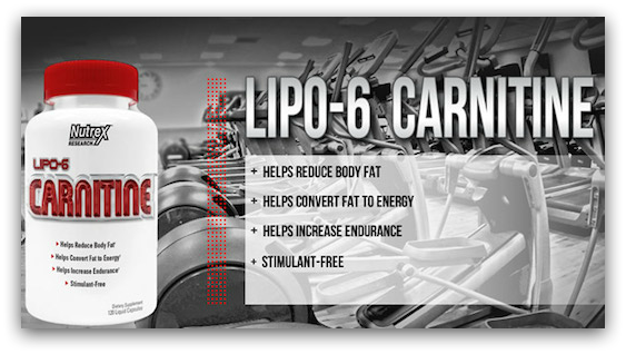 COMPRAR LIPO 6 CARNITINE 120 CAPS. NUTREX AL MEJOR PRECIO COMPRAR LIPO 6 CARNITINE 120 CAPS. NUTREX AL MEJOR PRECIO