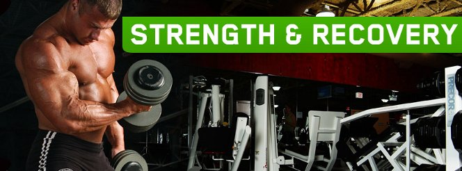 OPTIMUM NUTRITION GLUTAMINE POWDER